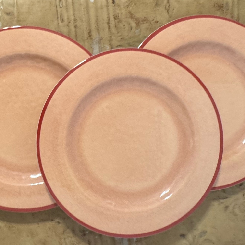 Set of Six Threshold Melamine Dinner Plates
